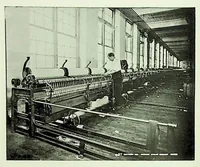 An illustration from International Acceptance Bank Textile Raw Materials 1924 (1924)