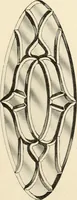 An illustration from International art glass catalogue : art and beveled glass in all its branches : church, memorial, society and domestic windows, Art Nouveau, prism, mitre beveled plate, leaded bevel, etc. (1914)
