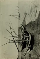 An illustration from Internationale Kunstausstellung des Sonderbundes Westdeutscher Kunstfreunde und Künstler zu Cöln, 1912 (1912)