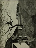 An illustration from Internationale Kunstausstellung des Sonderbundes Westdeutscher Kunstfreunde und Künstler zu Cöln, 1912 (1912)
