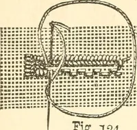 An illustration from The international encyclopedia of scientific tailor principles, for all kinds and styles of garment-making ... Also designing ... embroidery, crocheting, knitting, worsted work, fancy and artistic needle work .. (1885)