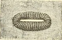 An illustration from The international encyclopedia of scientific tailor principles, for all kinds and styles of garment-making ... Also designing ... embroidery, crocheting, knitting, worsted work, fancy and artistic needle work .. (1885)