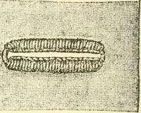 An illustration from The international encyclopedia of scientific tailor principles, for all kinds and styles of garment-making ... Also designing ... embroidery, crocheting, knitting, worsted work, fancy and artistic needle work .. (1885)