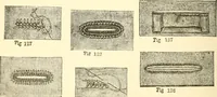 An illustration from The international encyclopedia of scientific tailor principles, for all kinds and styles of garment-making ... Also designing ... embroidery, crocheting, knitting, worsted work, fancy and artistic needle work .. (1885)