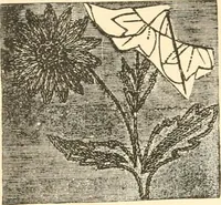 An illustration from The international encyclopedia of scientific tailor principles, for all kinds and styles of garment-making ... Also designing ... embroidery, crocheting, knitting, worsted work, fancy and artistic needle work .. (1885)