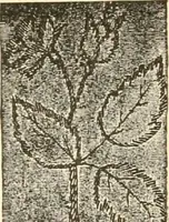An illustration from The international encyclopedia of scientific tailor principles, for all kinds and styles of garment-making ... Also designing ... embroidery, crocheting, knitting, worsted work, fancy and artistic needle work .. (1885)