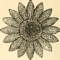 An illustration from The international encyclopedia of scientific tailor principles, for all kinds and styles of garment-making ... Also designing ... embroidery, crocheting, knitting, worsted work, fancy and artistic needle work .. (1885)