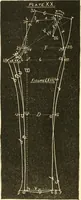 An illustration from The international encyclopedia of scientific tailor principles, for all kinds and styles of garment-making ... Also designing ... embroidery, crocheting, knitting, worsted work, fancy and artistic needle work .. (1885)