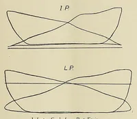 An illustration from International marine engineering (1906)