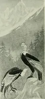 An illustration from International studio (1897)