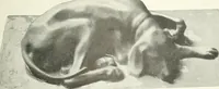 An illustration from International studio (1897)