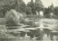 An illustration from International studio (1897)
