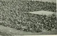 An illustration from International studio (1897)