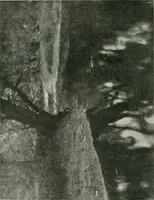 An illustration from International studio (1897)