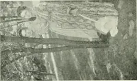 An illustration from International studio (1897)