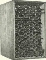 An illustration from International studio (1897)