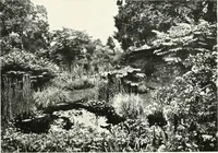 An illustration from International studio (1897)