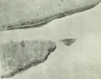 An illustration from International studio (1897)