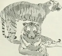 An illustration from International studio (1897)