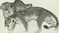 An illustration from International studio (1897)