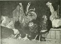 An illustration from International studio (1897)