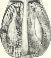 An illustration from International studio (1897)