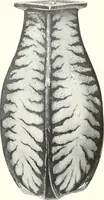 An illustration from International studio (1897)