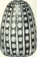 An illustration from International studio (1897)