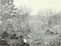 An illustration from International studio (1897)