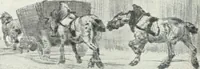 An illustration from International studio (1897)