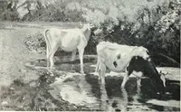An illustration from International studio (1897)