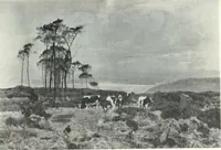An illustration from International studio (1897)