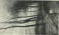 An illustration from International studio (1897)