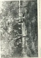 An illustration from International studio (1897)