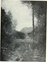 An illustration from International studio (1897)