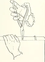 An illustration from International studio (1897)
