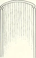 An illustration from International studio (1897)
