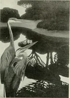 An illustration from International studio (1897)