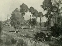 An illustration from International studio (1897)