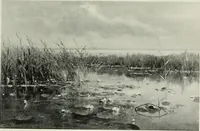 An illustration from International studio (1897)