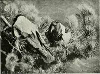 An illustration from International studio (1897)