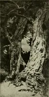An illustration from International studio (1897)