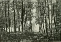 An illustration from International studio (1897)