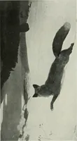 An illustration from International studio (1897)