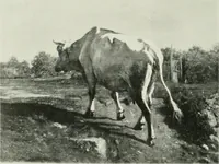 An illustration from International studio (1897)