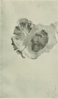 An illustration from International studio (1897)