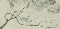 An illustration from International studio (1897)