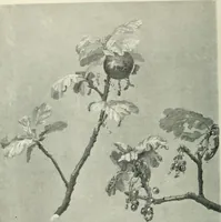 An illustration from International studio (1897)