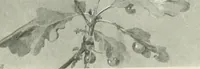 An illustration from International studio (1897)