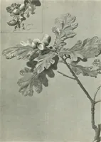 An illustration from International studio (1897)